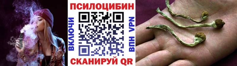 Галлюциногенные грибы прущие грибы  Белоусово 